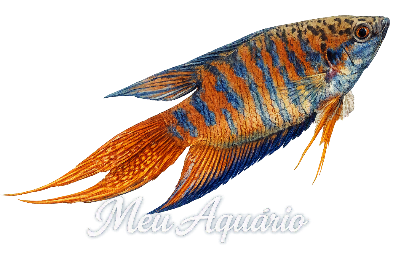 Logo Meu Aquario